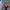Mario Kart Super Circuit GBA game cartridge, vibrant racing gameplay, classic Nintendo title for Game Boy Advance enthusiasts