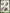 Recon Air Chat Communicator for Xbox | Turtle Beach | XBOX Series X/S | New