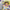 Buy Dora Super Spies GBA game cartridge, vibrant cover art, family-friendly adventure, for Game Boy Advance enthusiasts