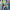 Buy Spongebob Lights, Camera, Pants GBA game, colorful family-friendly adventure for Game Boy Advance enthusiasts