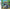 Buy Pokémon Mystery Dungeon Explorers of Time DS, a classic role-playing game for Nintendo DS with engaging storyline and ...