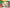 Premium Poster Collection Ascended Heroes box Pokémon – new, high-quality posters featuring Ascended Heroes.