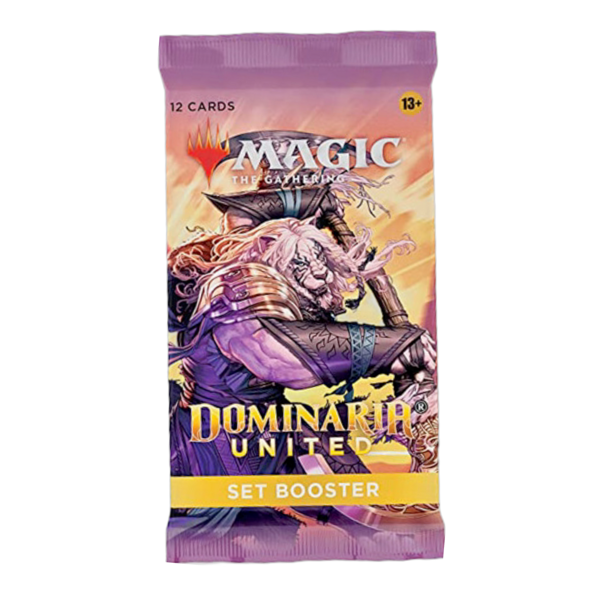 New Dominaria United Set Booster pack, latest Magic: The Gathering expansion, sealed and unopened